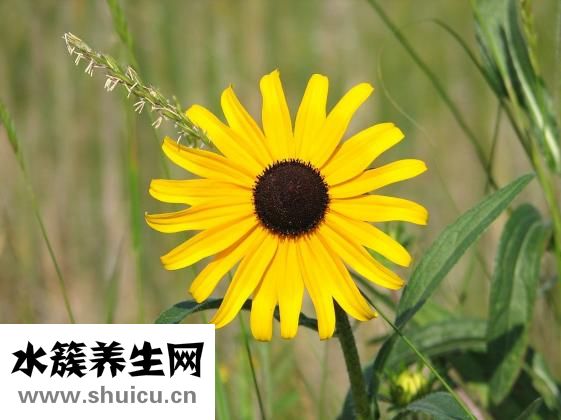 怎么開微店