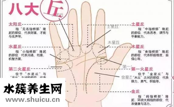 如何看手相