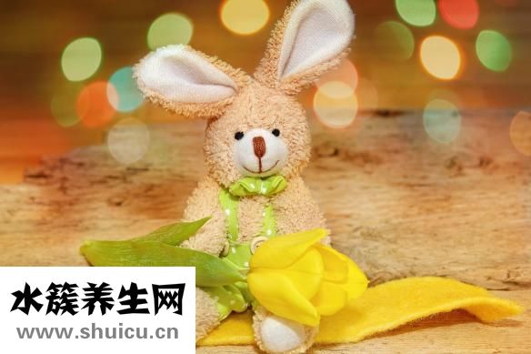 怎么能懷上孕