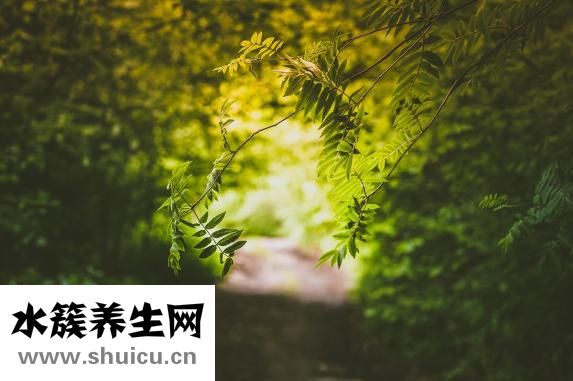 中暑吃什么藥