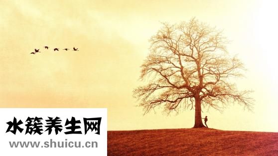 婦科病有哪些