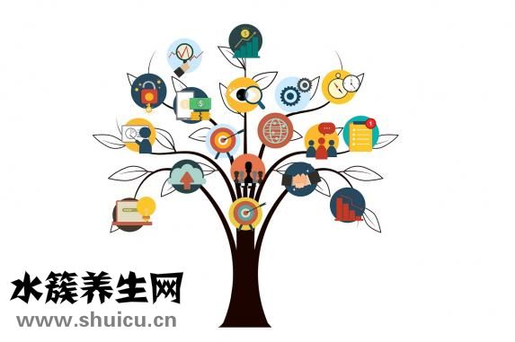 冰袋怎么用