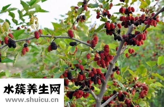 婦科病有哪些