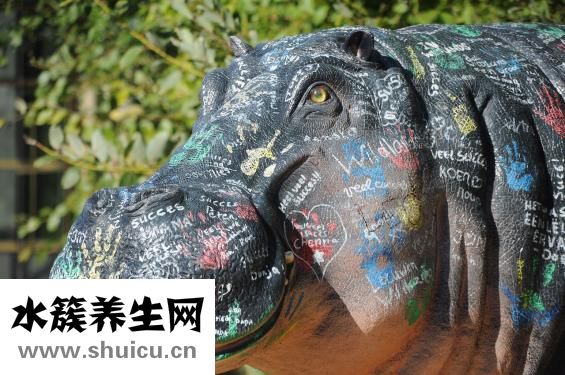 孕期怎么算