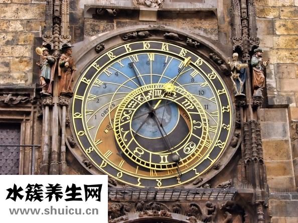 如何消滅跳蚤