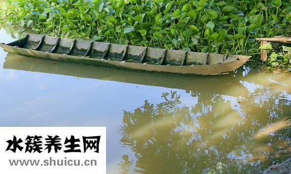 涼席怎么洗