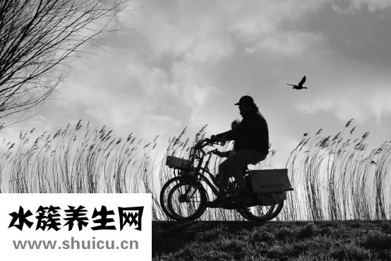喝酒前吃什么