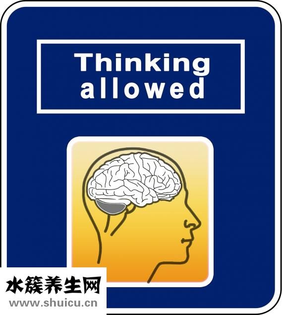 晚飯吃什么