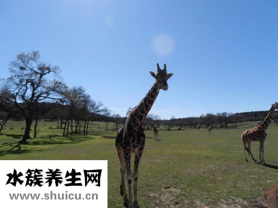 如何去除頸紋