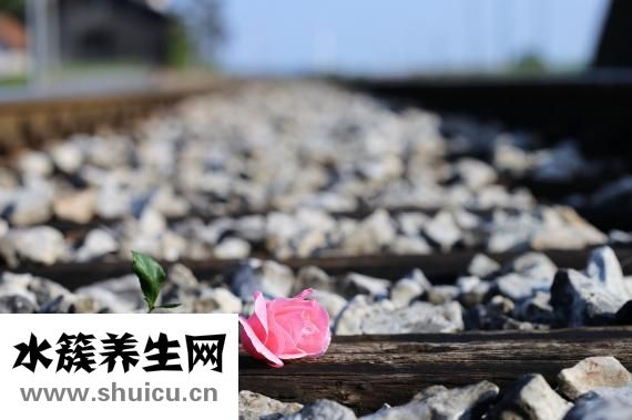 菜花怎么做