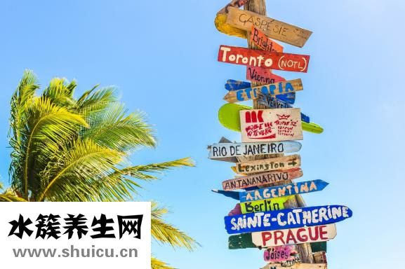 關羽是哪里人