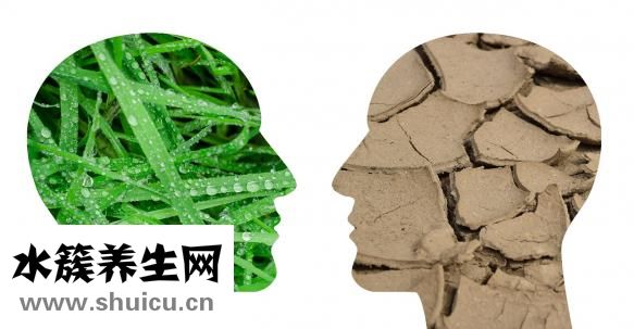 如何經營婚姻
