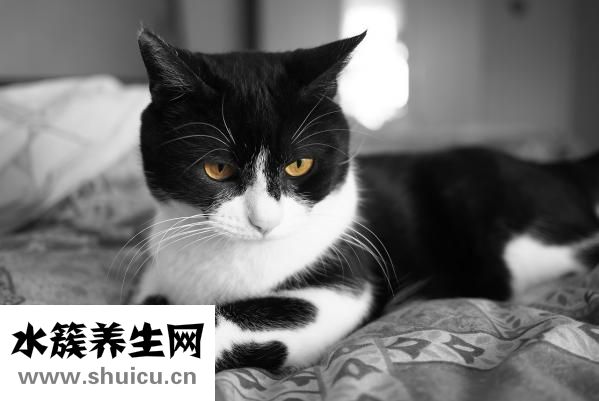 眼睛如何變大