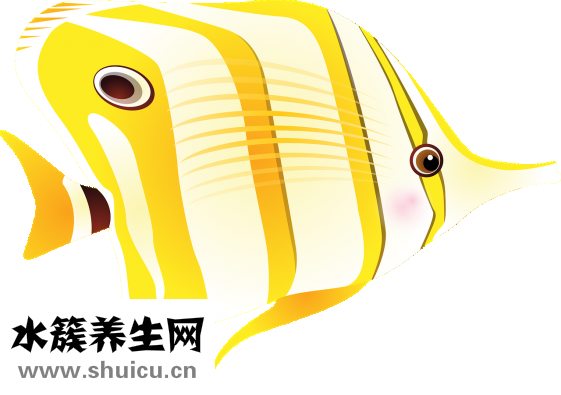 鼻子怎么變挺