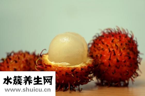 雞寶是什么