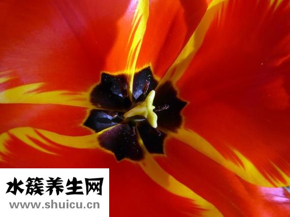 科幻畫怎么畫