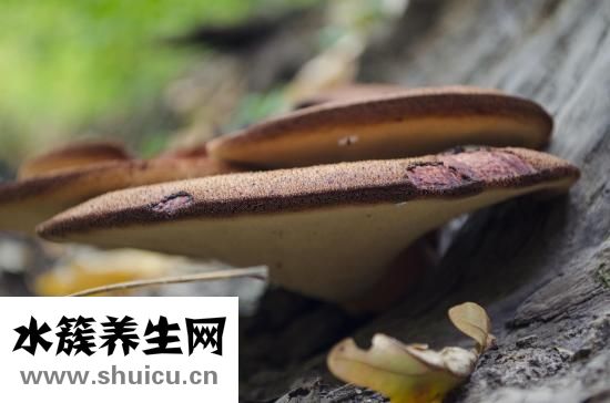 腳出汗怎么辦