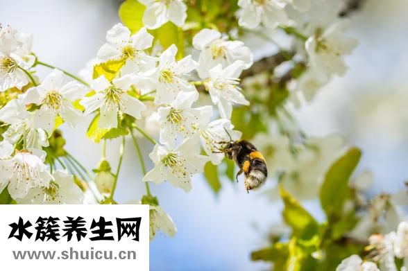 臉紅怎么辦