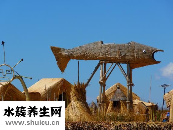 做什么兼職好