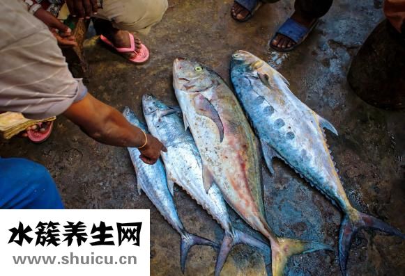 痛經吃什么食物