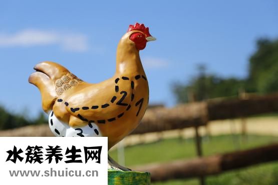 更年期吃什么