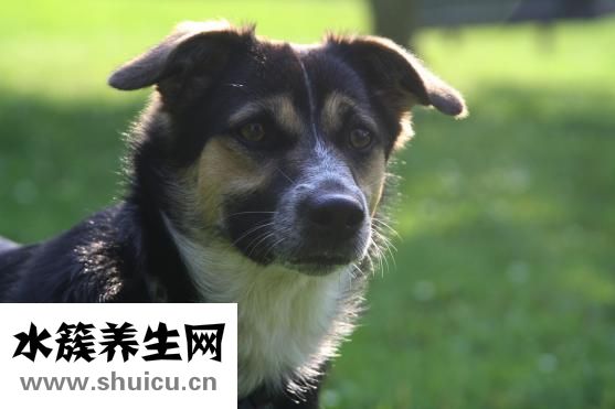鼻子怎么變挺