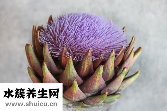皮凍怎么做
