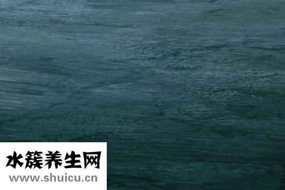 瘦臉針哪里好