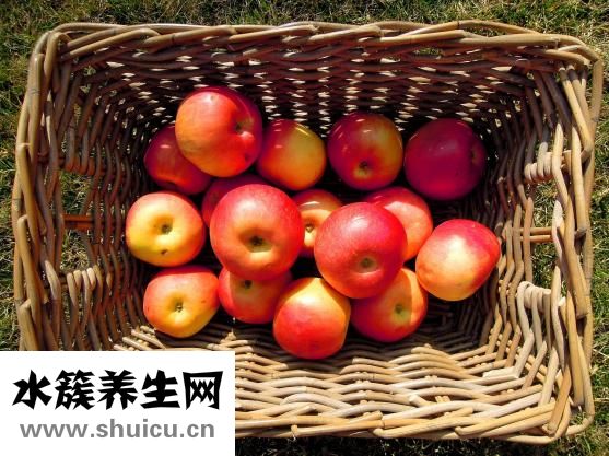 什么水果敗火
