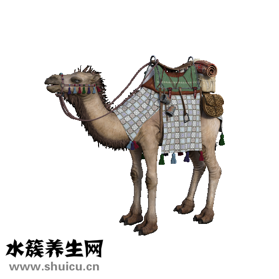 怎么消除頸紋