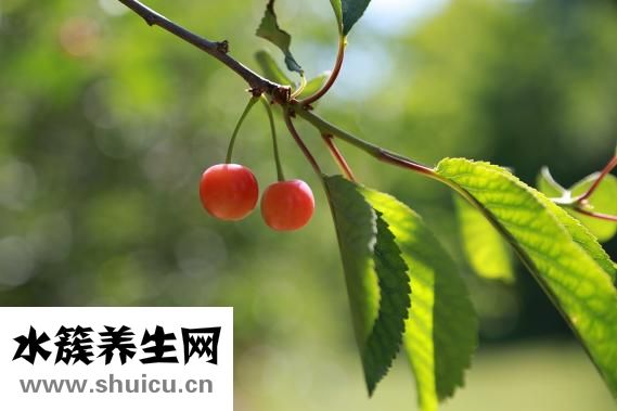 經期如何減肥