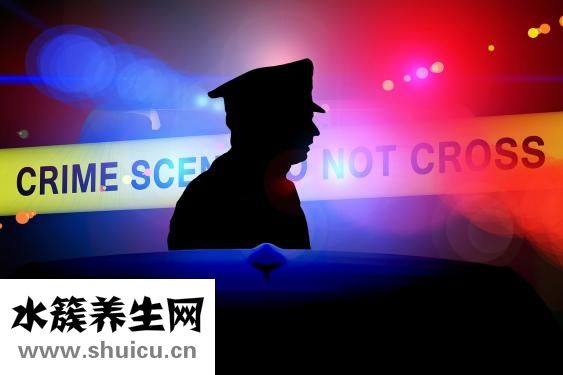 瓢蟲吃什么