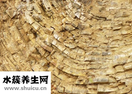 為什么胸大