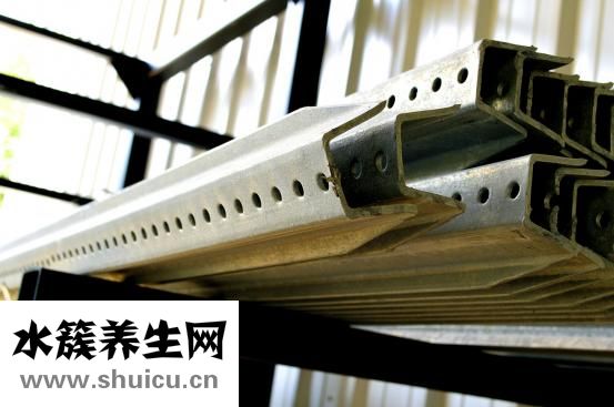 測孕紙怎么用