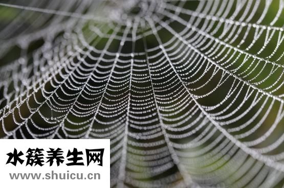 下班后做什么