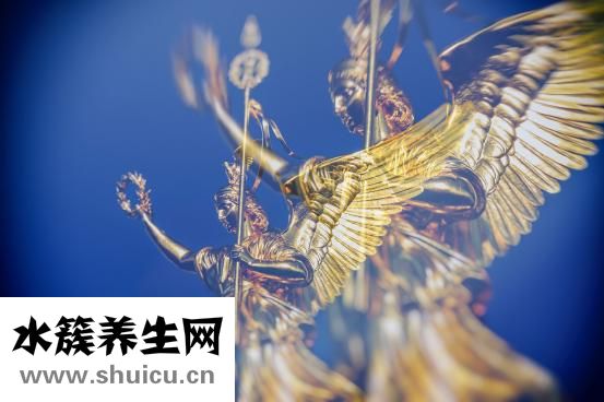 測孕紙怎么用
