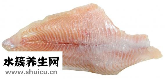 鯰魚吃什么