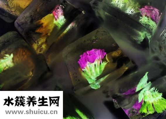 光子嫩膚的效果如何