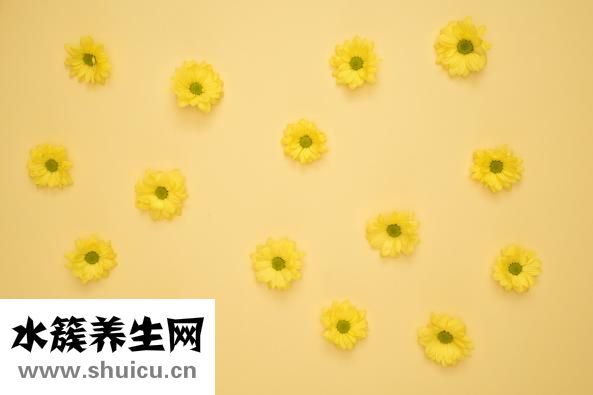 尿血怎么辦