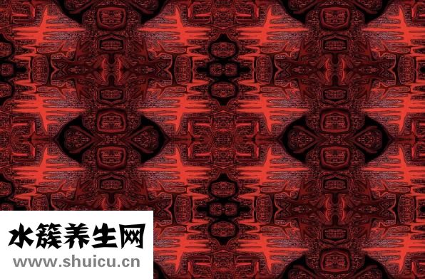 什么是雙修