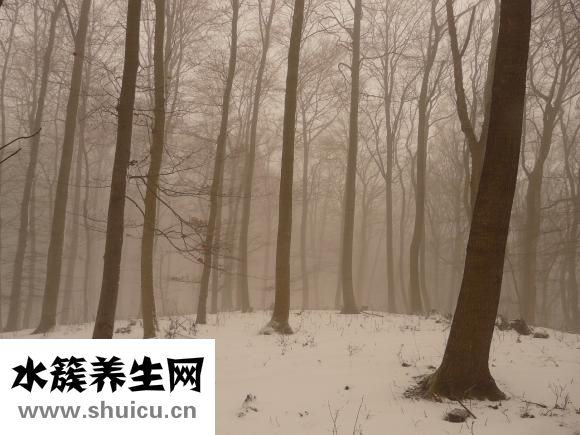 崴腳了怎么辦
