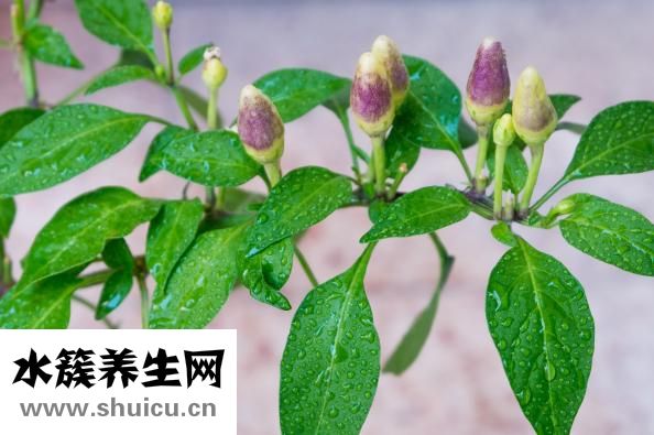 如何延長時間