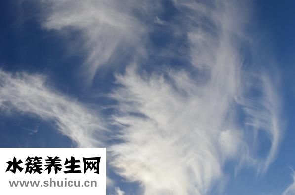 什么書值得看