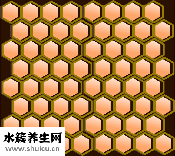 蜂蠟怎么吃