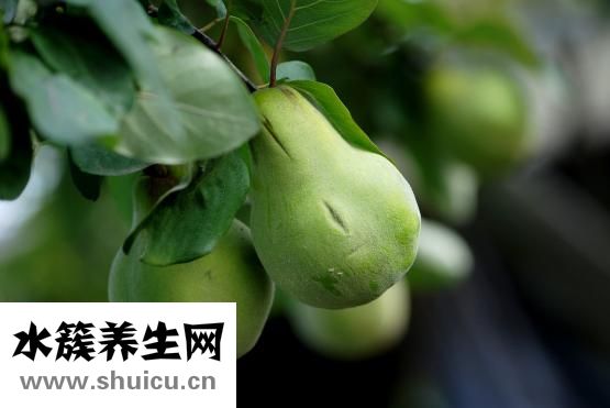 如何產后減肥