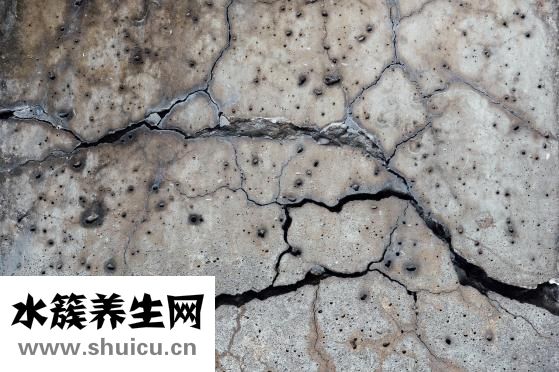 什么是蜱蟲