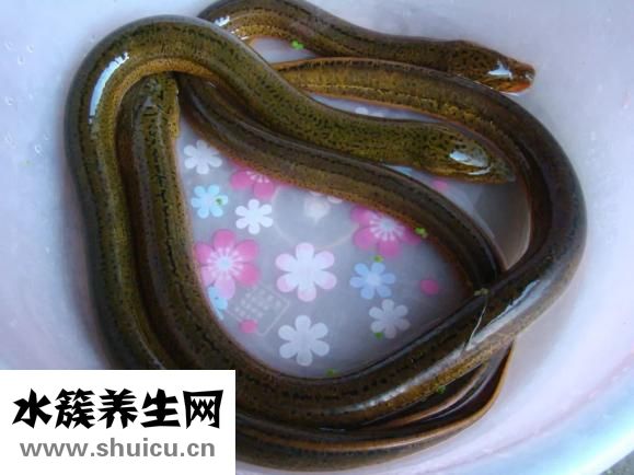 關羽哪里人