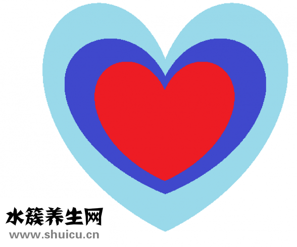 冠心病吃什么好
