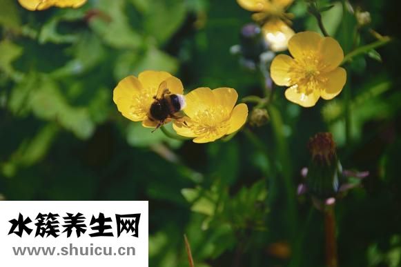 香氛怎么用