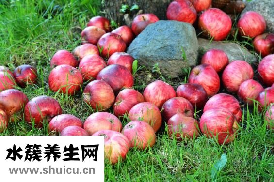 做月子吃什么